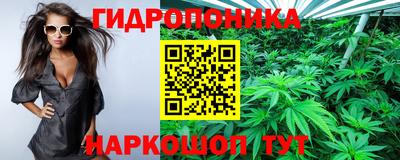 ГАЛЛЮЦИНОГЕННЫЕ ГРИБЫ Тула